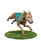 至尊麻將娛樂城白金賽狗